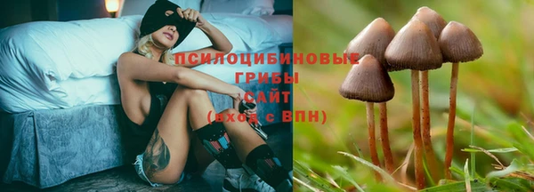 MDMA Premium VHQ Карпинск