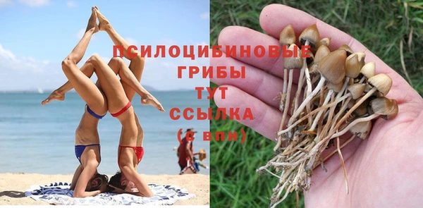 гидра Кинешма