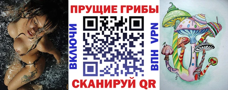 Псилоцибиновые грибы Cubensis  Купить закладки  Николаевск-на-Амуре 
